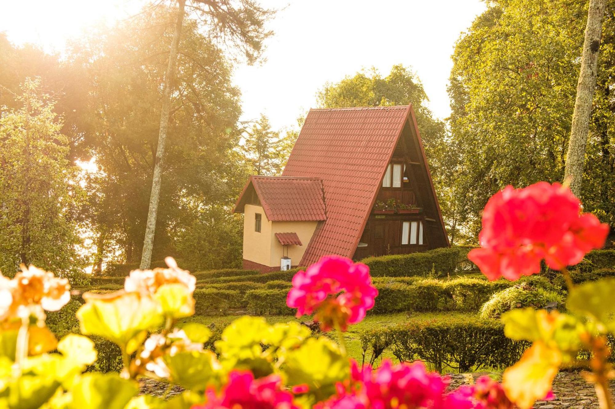 Zirahuen Forest And Resort Zewnętrze zdjęcie